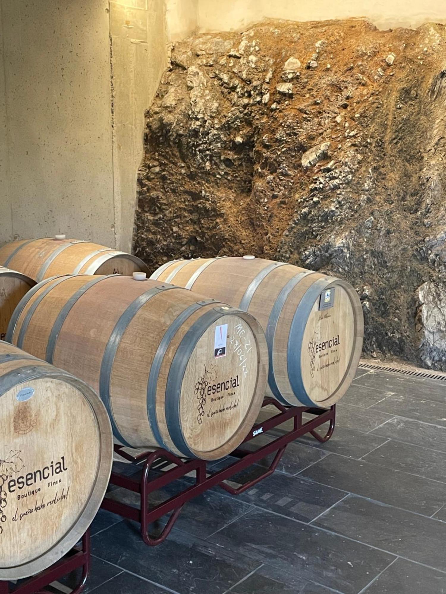 Boutique Finca Esencial ビジャフランカ・デル・ビエルソ エクステリア 写真