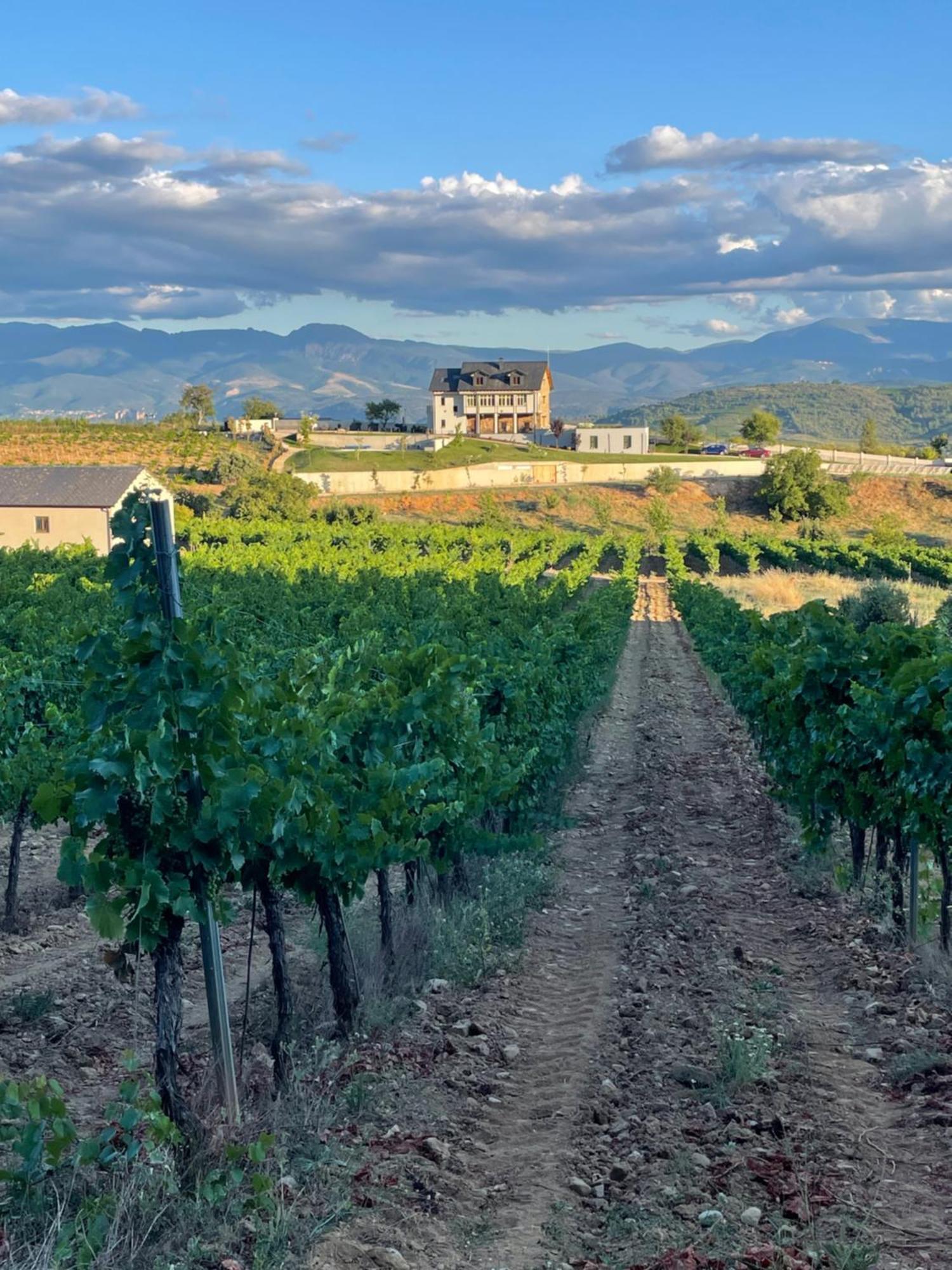 Boutique Finca Esencial ビジャフランカ・デル・ビエルソ エクステリア 写真